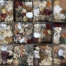 원함한의원 이미지