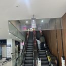 119 | 부산 해운대 약손119 후기｜어깨 뭉침 한방에 풀린 찐 지압원