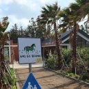 하예동-6 이미지