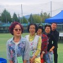 의왕축구장 Daum카페