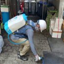 기동반-50 이미지