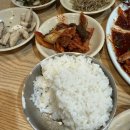 창동백반
