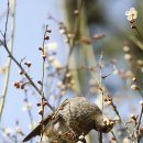 서운근린공원 이미지