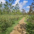 서창2동-6 이미지