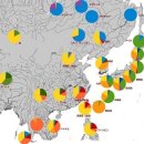 DNA 검사로 밝혀진 한국인들이 제일 유전적으로 가까운 민족 이미지