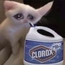 파피루스 안경원 | 너를 위해 천 마리의 학을 접어