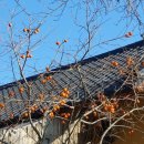 대천마을회관 이미지