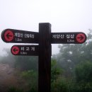 대능 이미지