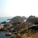 송림수산 티스토리