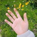 석가울농장 이미지