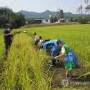 구례언론협동조합 연합뉴스