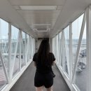 참나무장작구이김서방외도점 | 제주 로컬 힐링기 (진에어 2시간 지연💢/제주렌트카 추천후기✨️/삼양해수욕장 노을🌅/김녕해수욕장 도착✌🏻)