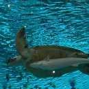 서준코퍼레이션 이미지