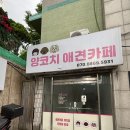 경기도 수원시 영통구 인계로 | 영통 애견카페 | 매탄동 애견 유치원, 유기견 입양 가능한 양코치 애견카페 방문 후기