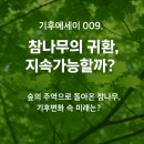 증산-009 | 기후에세이 009. 참나무의 귀환, 지속가능할까?