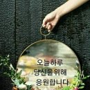 쉴만한물가 - 정선군 항동길 38 | 쉴만한물가