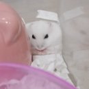 이수초등학교1-5_ 이미지