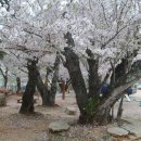 성송초등학교 이미지