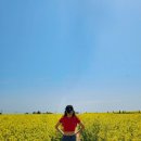 신광발전소 이미지