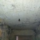 이교동일제군사시설 이미지