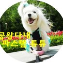 공왕다