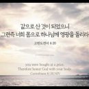 오늘의 '영어성경 사진'(808강) “너희 몸으로 하나님께 영광을 돌리세요”(고린도전서 6장 20절) 이미지