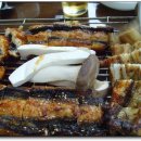 영산강장어 이미지