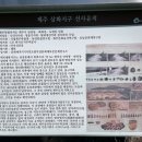 도련지석묘 2호 | [23제주여행] 아파트 단지에 고인돌이? 삼양 지석묘와 도련 지석묘