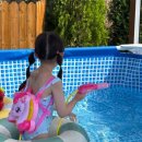 코커스101 이미지