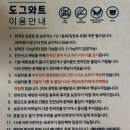 도그와트 이미지