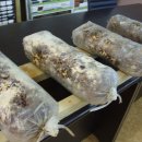 백화농장 이미지