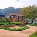 금산효사랑요양병원 이미지