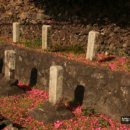 동백농원 이미지