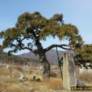 입석1길 이미지