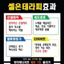 36.5체온다이어트 이미지