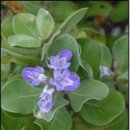 사구 마을회관 이미지