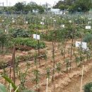 수성농장 이미지