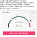 지수개발 | 블로그 지수 분석 사이트 블라이(BLAI) 무료 버젼 이용후기, 준최2가 블라이 랭킹 상위 1%인 이유