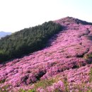효목주유소 이미지