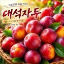 자두 - 부산진구 중앙대로 737 | 자두