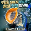 갯벌탐사 | 비포 탐사 후 다시 찾은 무의도 해루질! 할배소라, 낙지 득템
