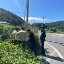 금곡2리 이미지