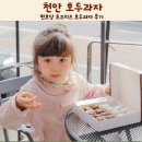 초코네 | 천안 호두과자 천호당 초코치즈 호두과자 후기