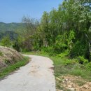 청정부동산중개인사무소 이미지