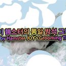 그루밍조이 이미지