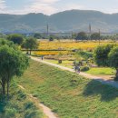 금호강10 이미지