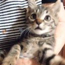 장구섬농장 이미지