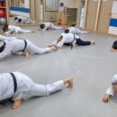 청주성인태권도 이미지