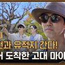 고대차박사 이미지