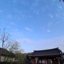 매화휴게실 | 전주 한옥마을 봄 산책 정보. 주차부터 맛집, 카페, 포토존, 놀거리까지 완벽 정리